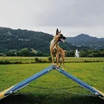 Chaletdorf Zellersee Aldeamento Turístico 3*
