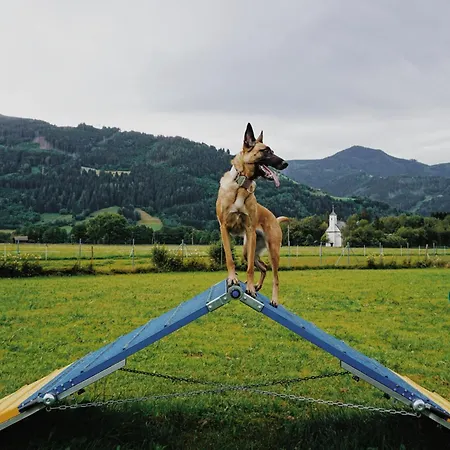 Chaletdorf Zellersee ホリデーパーク 3*