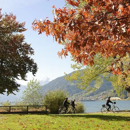 Chaletdorf Zellersee Tatil parkı