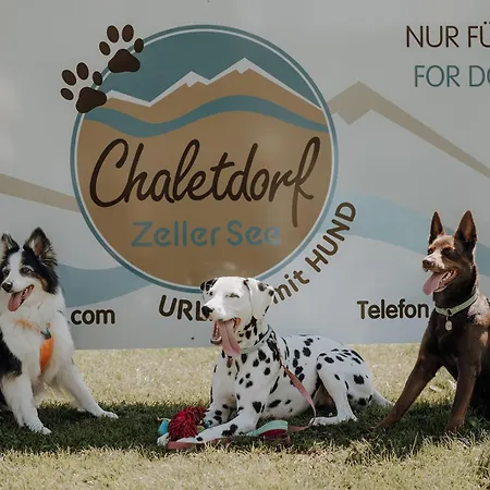 Chaletdorf Zellersee База отдыха