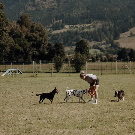База отдыха Chaletdorf Zellersee 3*