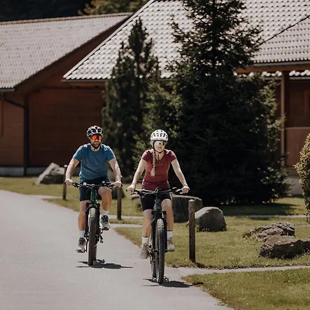 Πάρκο διακοπών Chaletdorf Zellersee Maishofen