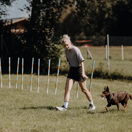 Chaletdorf Zellersee Πάρκο διακοπών 3*