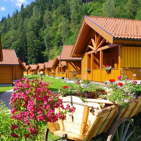 Tatil parkı Chaletdorf Zellersee Maishofen